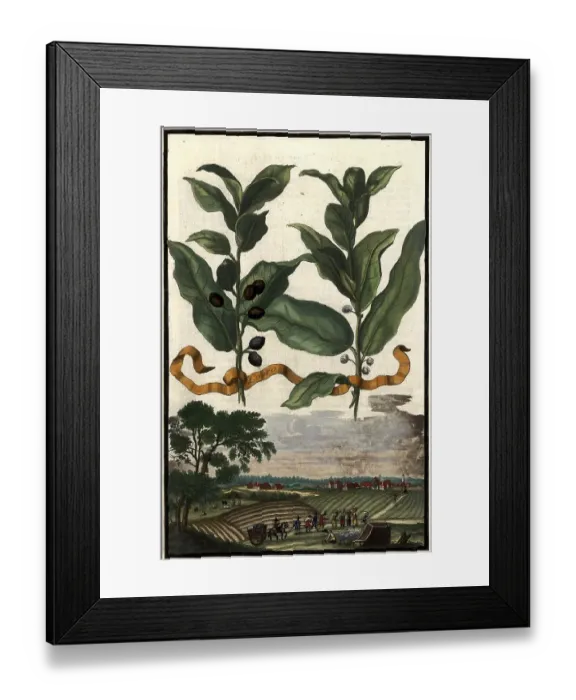Framed Print : Lauro and landscape near Munghof