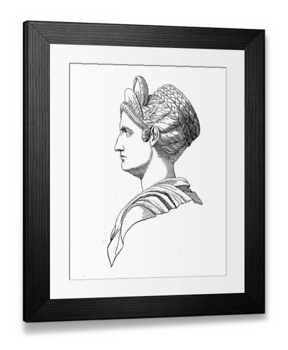 Framed Print : Historical, digital reproduction of a 19th century originalSalonina Matidia