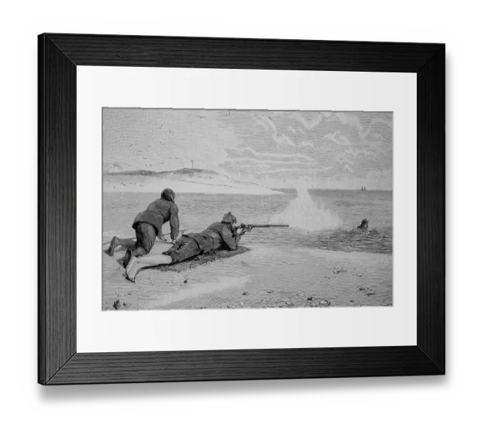 Framed Print : Hunting seals in the Wadden Sea Framed Print : Hunting seals in the Wadden Sea