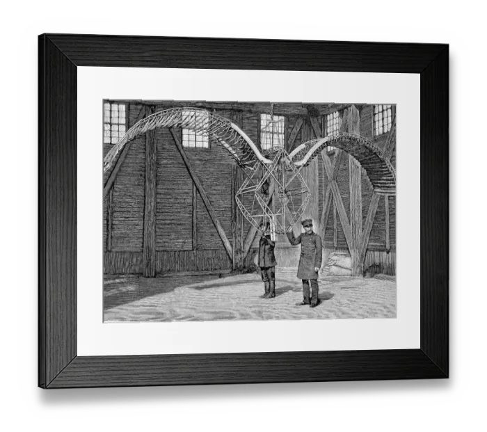 Framed Print : Device to illustrate bird flight