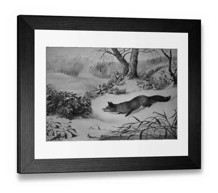 Framed Print : Laced Fox in Winter in the Snow