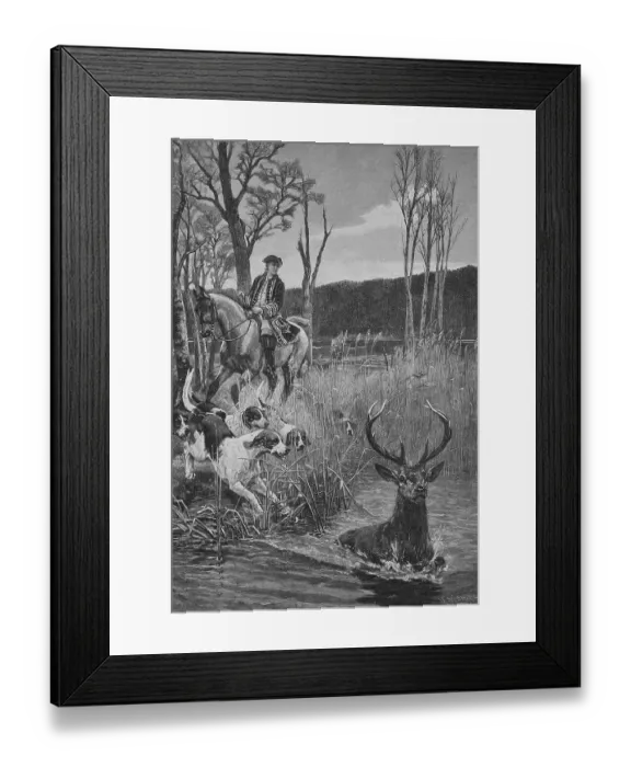 Framed Print : On the par force hunt, hunters and hounds have driven a stag into the lake Framed Print : On the par force hunt, hunters and hounds have driven a stag into the lake