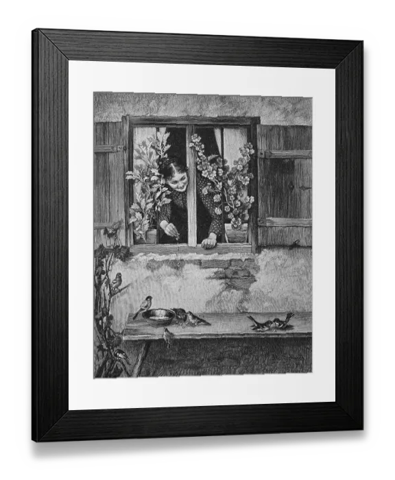 Framed Print : Girl feeding birds, scattering food from the window
