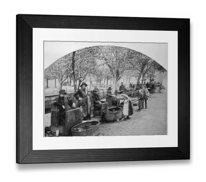 Framed Print : Fish market on the canal in Potsdam Framed Print : Fish market on the canal in Potsdam