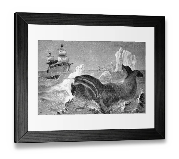 Framed Print : Whale Hunt in the Northern Arctic Ocean Framed Print : Whale Hunt in the Northern Arctic Ocean
