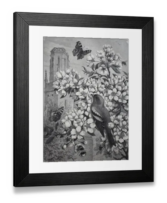 Framed Print : Symbolic picture for spring, blossoming cherry tree with a bird and a butterfly Framed Print : Symbolic picture for spring, blossoming cherry tree with a bird and a butterfly