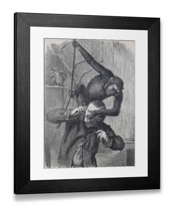 Framed Print : Monkey in the zoo playing with his keeper