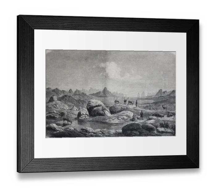 Framed Print : Laplanders from Greenland with reindeer at their summer pasture on the Arctic Ocean