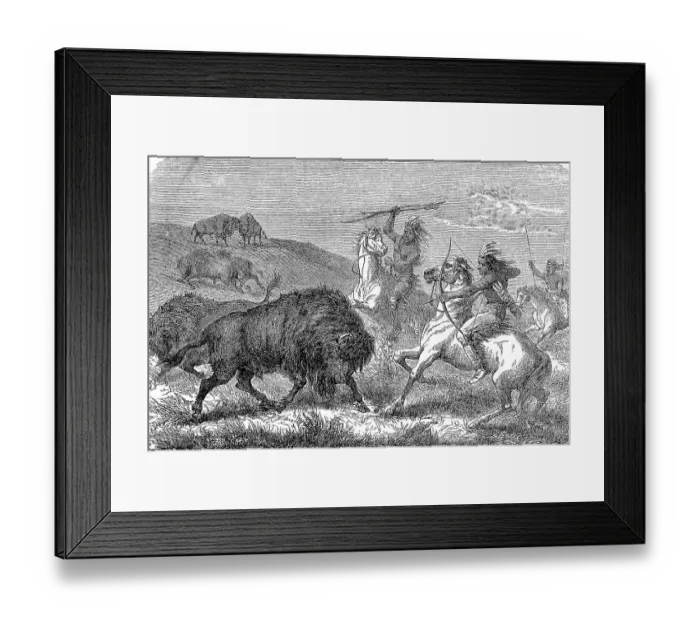 Framed Print : Indians hunting bison with bow and arrow Framed Print : Indians hunting bison with bow and arrow