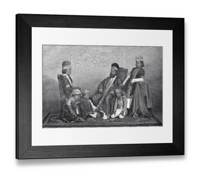 Framed Print : The Royal Family Mirzas of Delhi in 1880