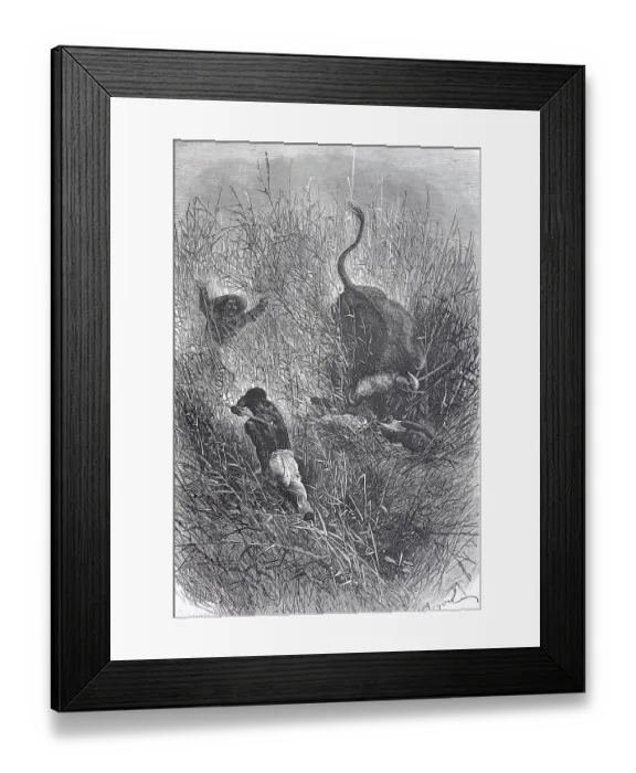 Framed Print : People of the Shilluk tribe, a large ethnic group of the Luo Nilotic in Southern Sudan