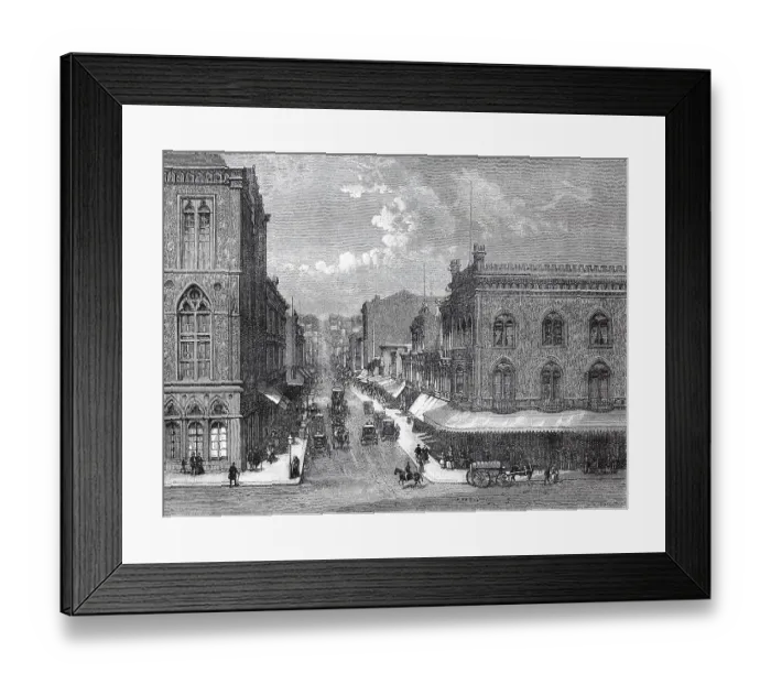Framed Print : Spongia officinalis (1862) on Montgomery Street in San Francisco