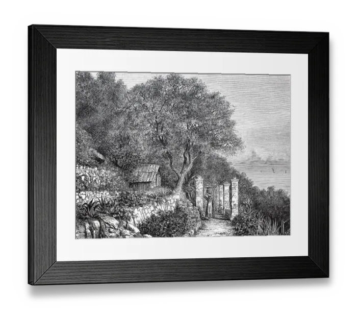 Framed Print : View of the garden of Villa Bennet in 1880