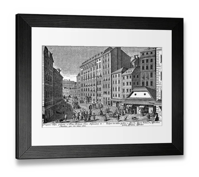 Framed Print : View of the Tiefer Graben in Vienna Framed Print : View of the Tiefer Graben in Vienna