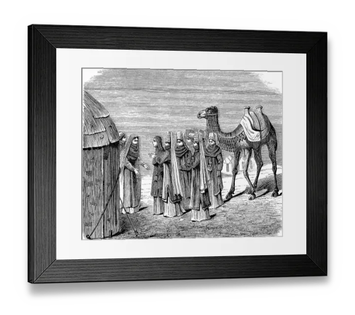 Framed Print : Turkmen Wedding, Turkmenistan, Group of woman with camel picking up the bride