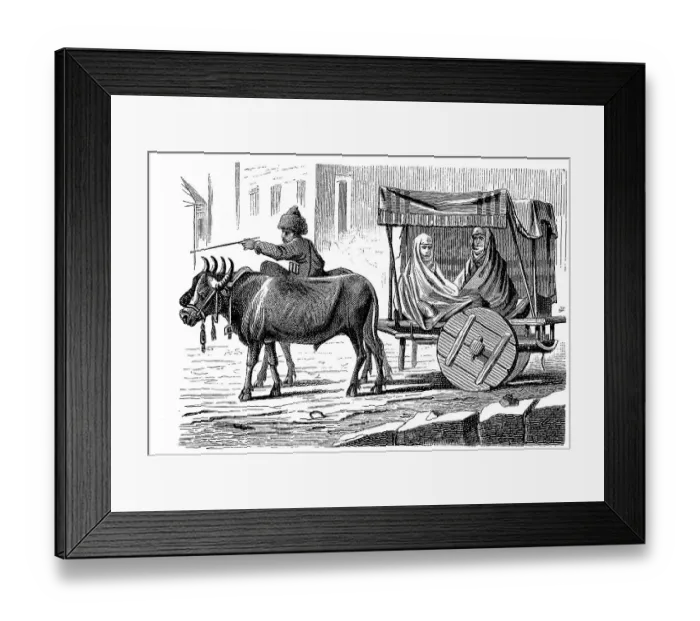 Framed Print : Women's Chariot from the Caucasus Framed Print : Women's Chariot from the Caucasus