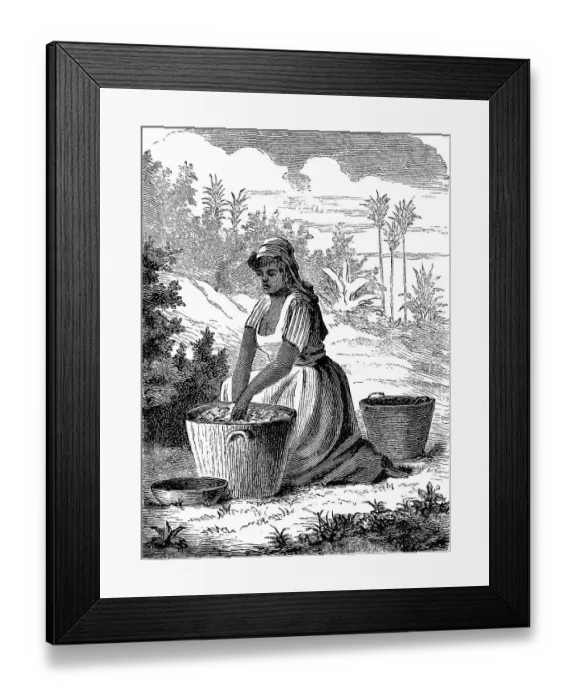 Framed Print : Woman, farmer from Venezuela, Frauen in the 19th century