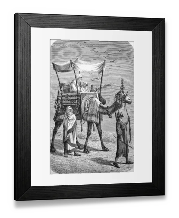 Framed Print : Women travelling on a camel through the desert Framed Print : Women travelling on a camel through the desert