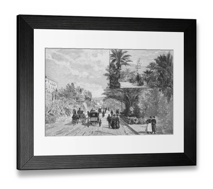 Framed Print : The German Crown Prince's Family in the Promenades of San Remo