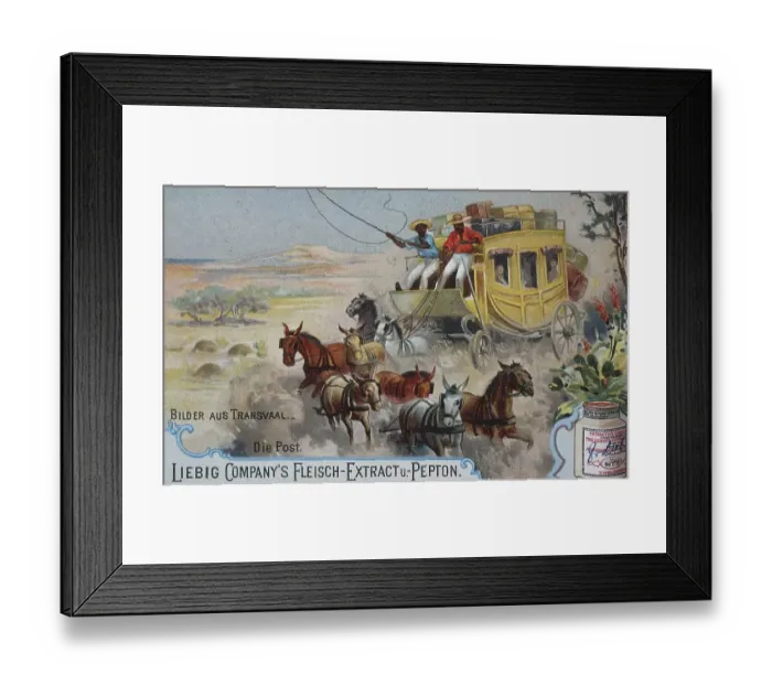 Framed Print : Liebig Picture, Pictures from Transvaal Framed Print : Liebig Picture, Pictures from Transvaal