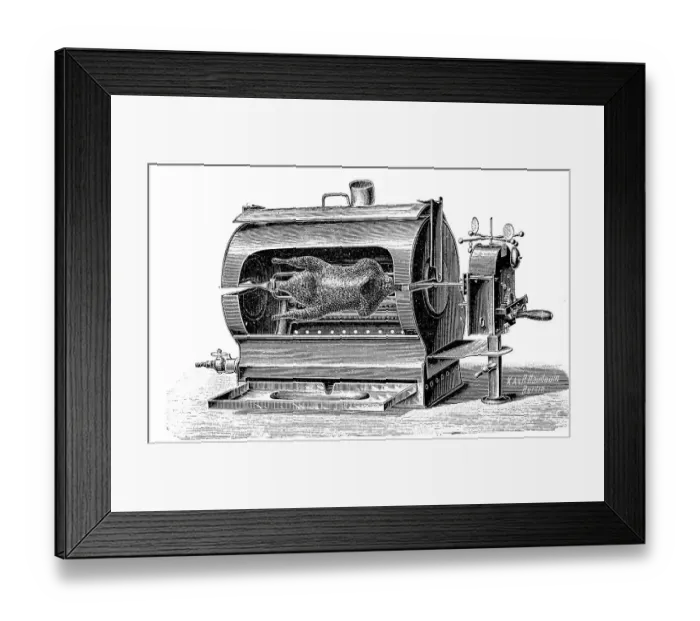 Framed Print : Kitchen, roasting oven with turner Framed Print : Kitchen, roasting oven with turner