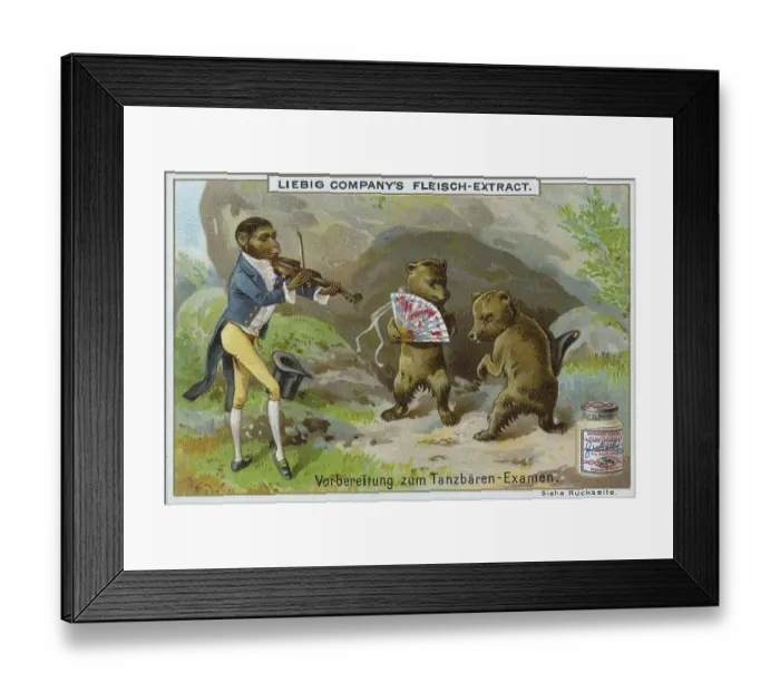 Framed Print : Series of funny animal depictions Framed Print : Series of funny animal depictions