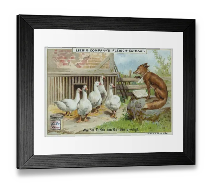 Framed Print : Series of funny animal depictions Framed Print : Series of funny animal depictions
