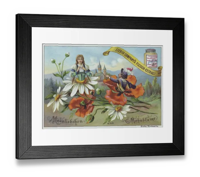 Framed Print : Flowers and legends series, Maasliebchen and Mohnblume