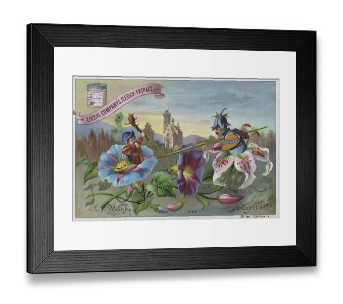 Framed Print : Series Flowers and Legends, Winds and Tiger Lily