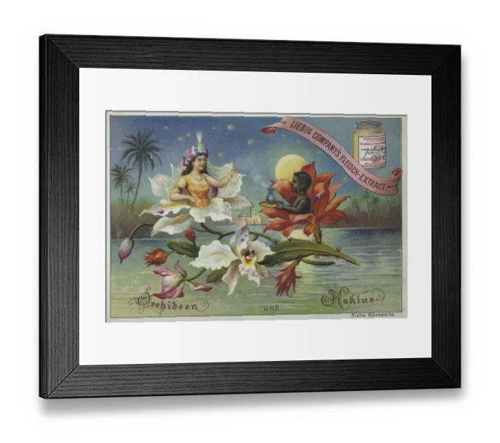 Framed Print : Series Flowers and Legends, Orchid and Cactus