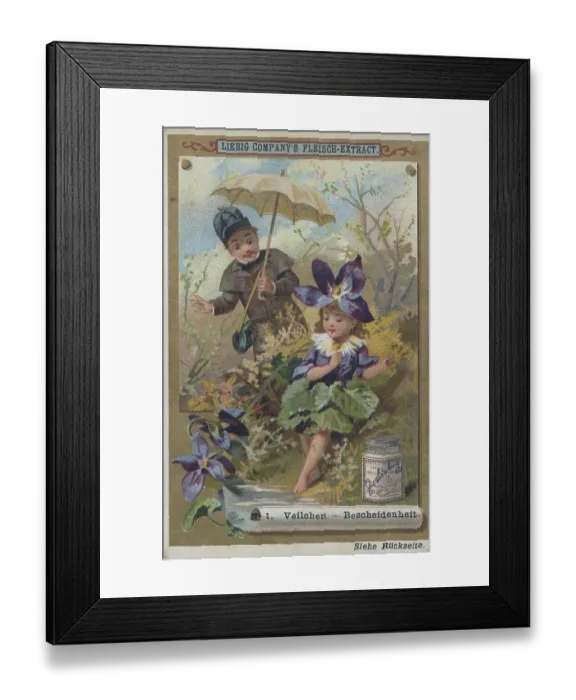 Framed Print : Picture series Properties of Flowers