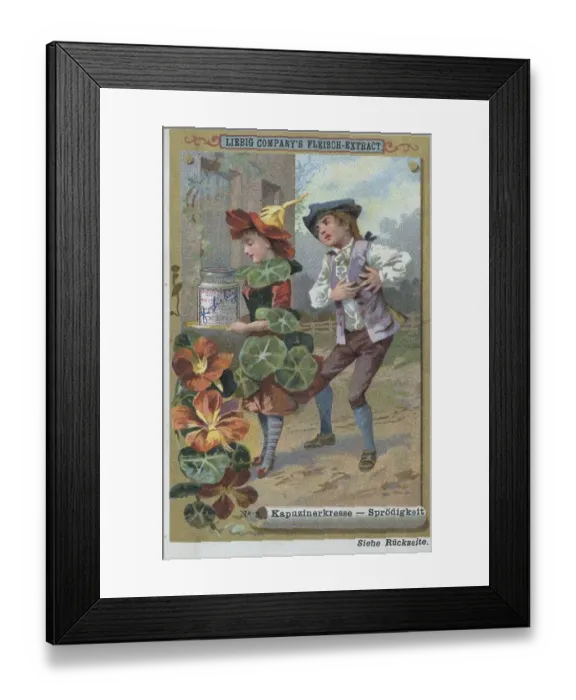 Framed Print : Picture series Properties of Flowers Framed Print : Picture series Properties of Flowers