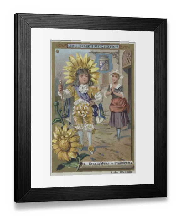 Framed Print : Picture series Properties of Flowers