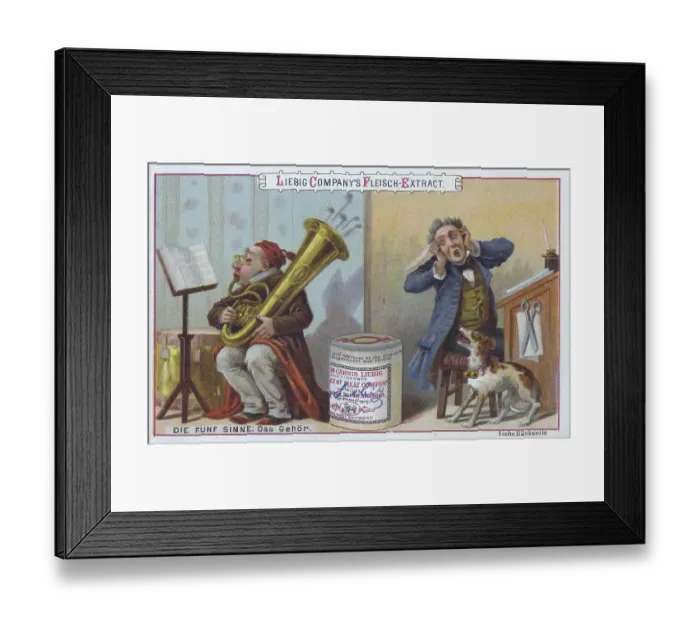 Framed Print : Picture series The Five Senses