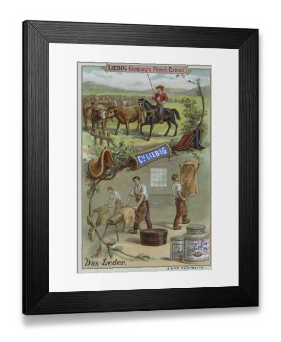 Framed Print : Picture series The raw materials