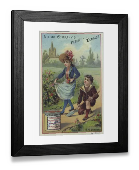 Framed Print : Nursery rhyme series, No rose without thorns