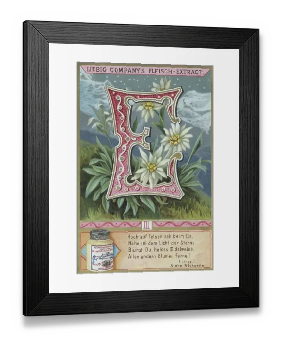 Framed Print : Picture series Letters and Plants