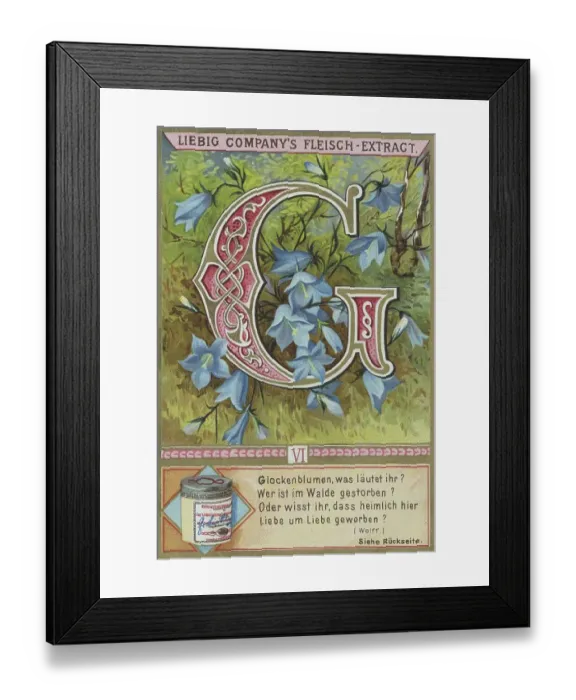 Framed Print : Picture series Letters and Plants Framed Print : Picture series Letters and Plants