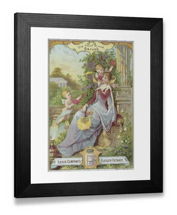 Framed Print : Picture series The Five Senses Framed Print : Picture series The Five Senses