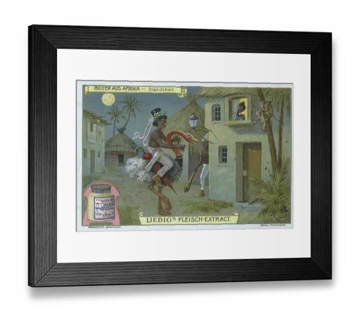 Framed Print : Series Pictures from Africa, Serenade with an Ostrich