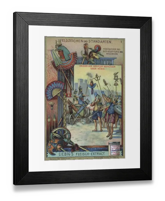 Framed Print : Series Field Signs and Standards Framed Print : Series Field Signs and Standards