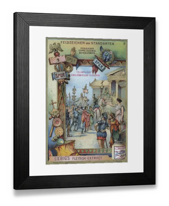 Framed Print : Series Field Signs and Standards