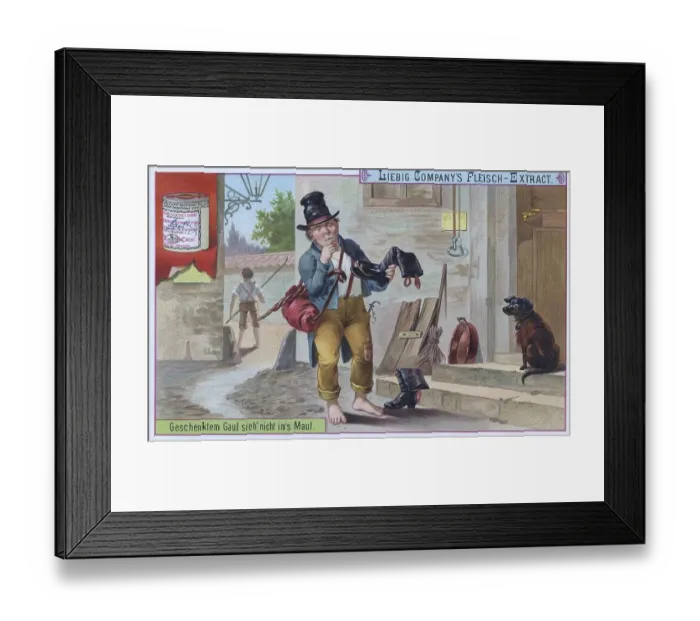 Framed Print : Proverbs series, never look a gift horse in the mouth Framed Print : Proverbs series, never look a gift horse in the mouth