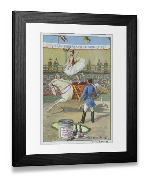 Framed Print : Series Horse Dressage in the Circus Framed Print : Series Horse Dressage in the Circus