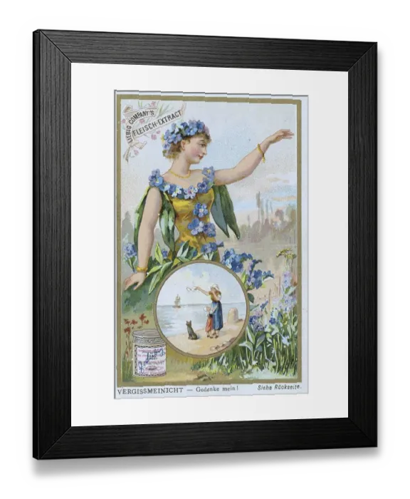 Framed Print : Series of symbols of flowers related to persons