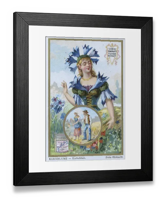 Framed Print : Series Symbols of Flowers related to Persons Framed Print : Series Symbols of Flowers related to Persons