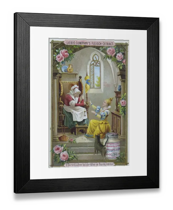 Framed Print : Fairy tale series Sleeping Beauty Framed Print : Fairy tale series Sleeping Beauty