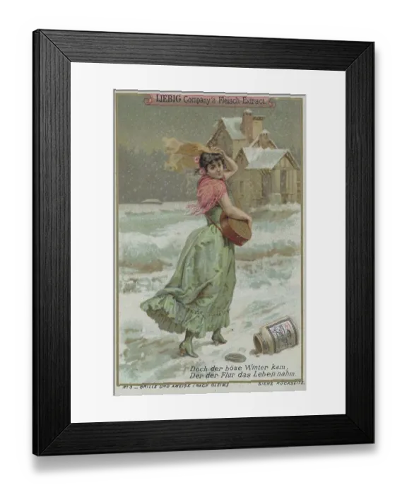 Framed Print : Series Cricket and ant as a symbol for the industrious and the lazy Framed Print : Series Cricket and ant as a symbol for the industrious and the lazy