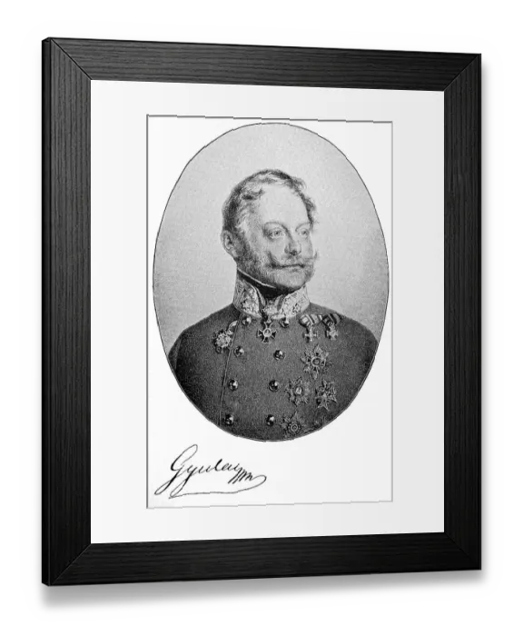 Framed Print : Ferenc Jozsef Gyulay, Count of Maros-Nemeth and Ndaska Framed Print : Ferenc Jozsef Gyulay, Count of Maros-Nemeth and Ndaska