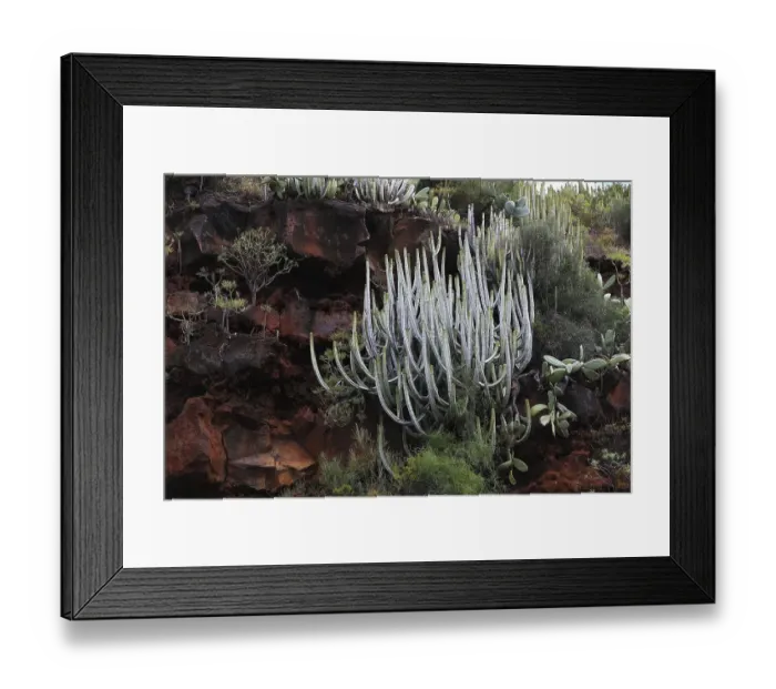 Framed Print : Landscape in the area of Las Cuevas de Aqua Framed Print : Landscape in the area of Las Cuevas de Aqua